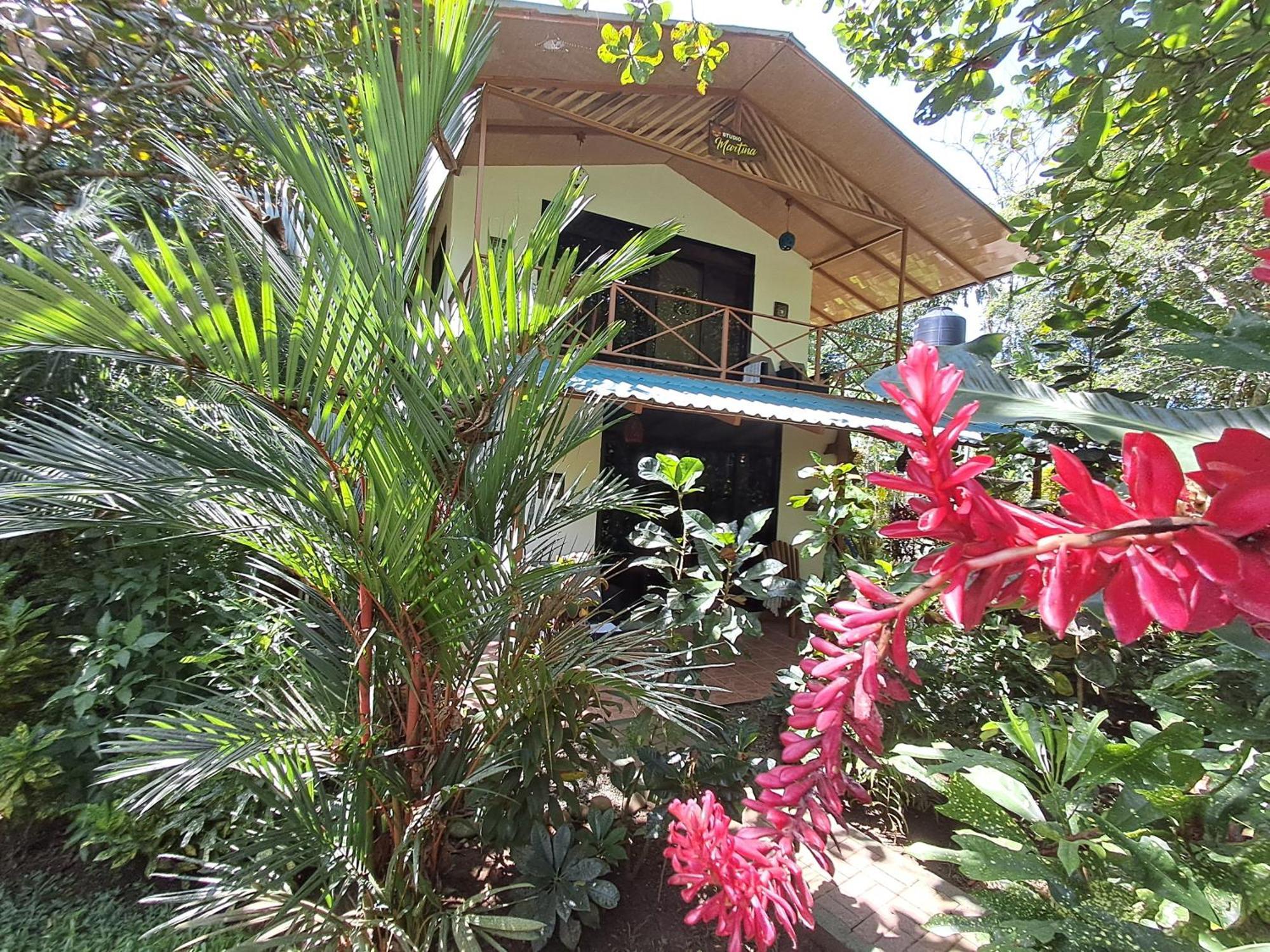 New Caribe Point Villa Cahuita Dış mekan fotoğraf