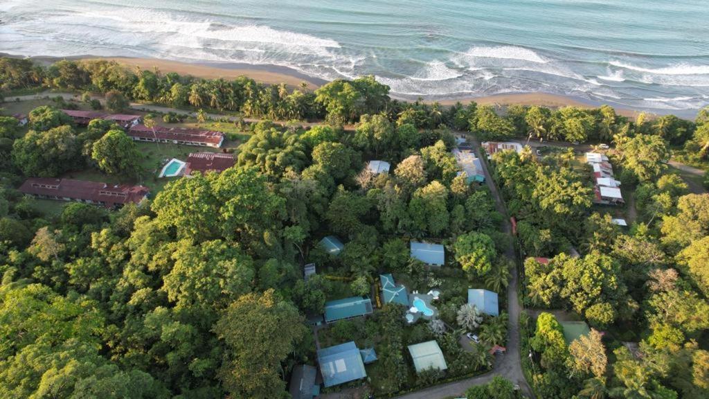 New Caribe Point Villa Cahuita Dış mekan fotoğraf