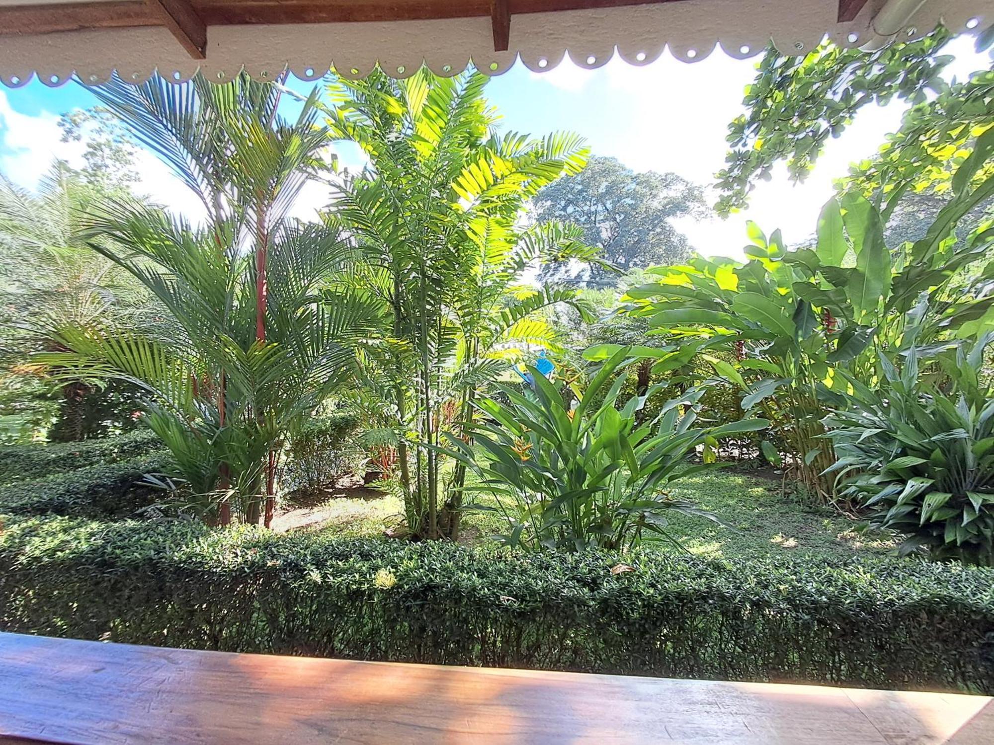 New Caribe Point Villa Cahuita Dış mekan fotoğraf