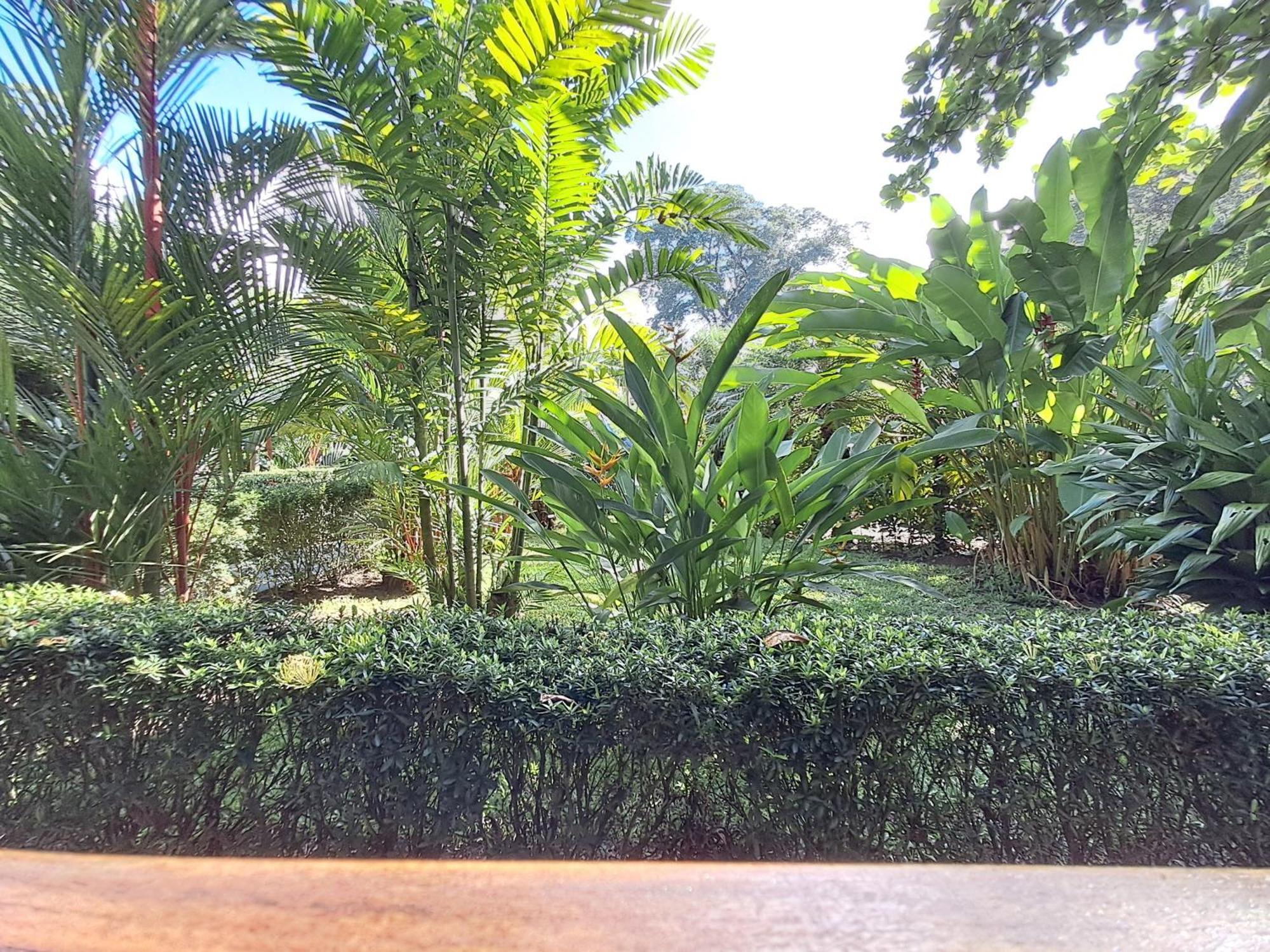 New Caribe Point Villa Cahuita Dış mekan fotoğraf