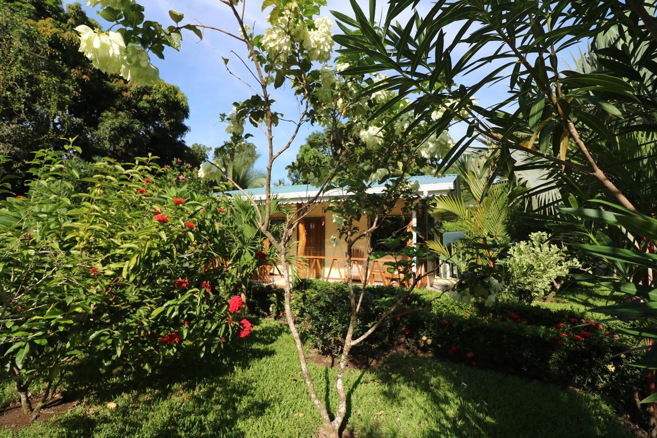 New Caribe Point Villa Cahuita Dış mekan fotoğraf