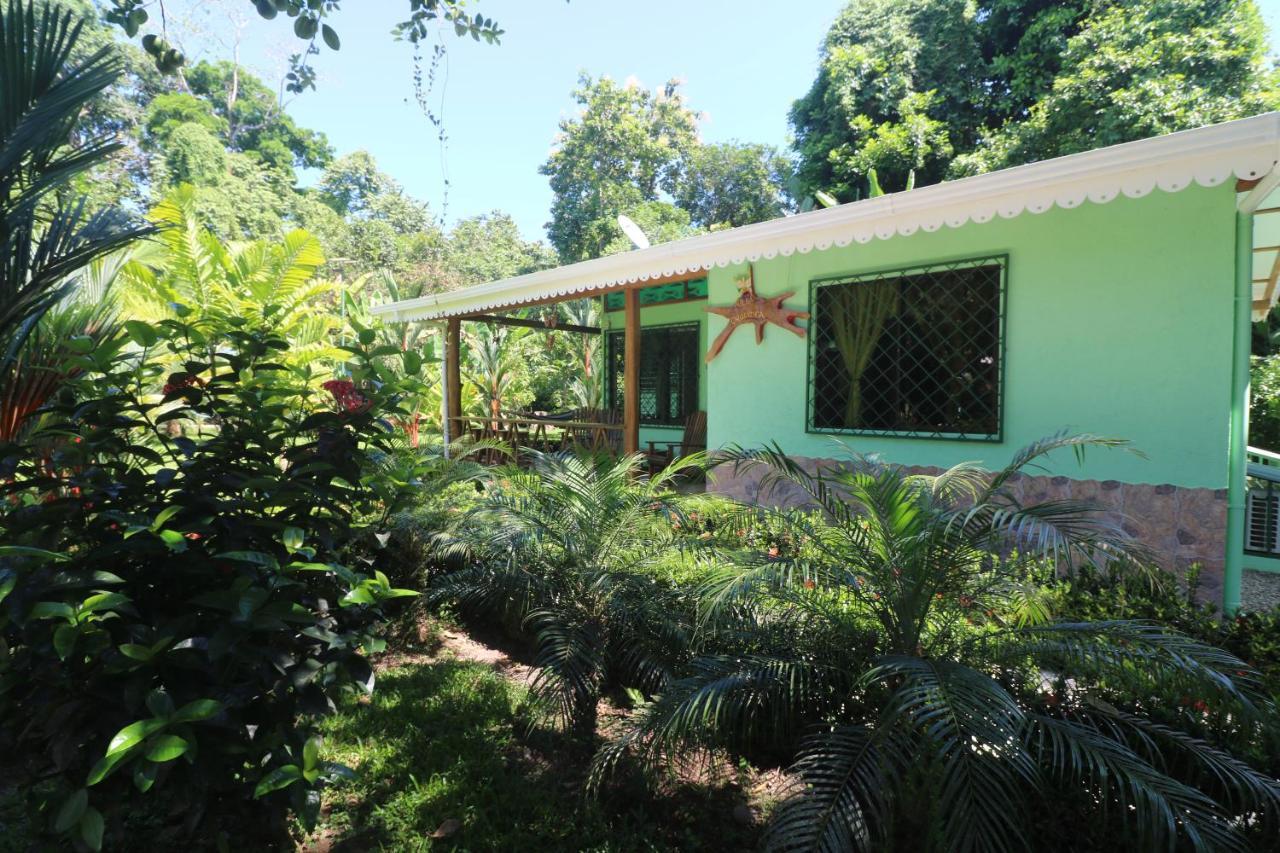 New Caribe Point Villa Cahuita Dış mekan fotoğraf